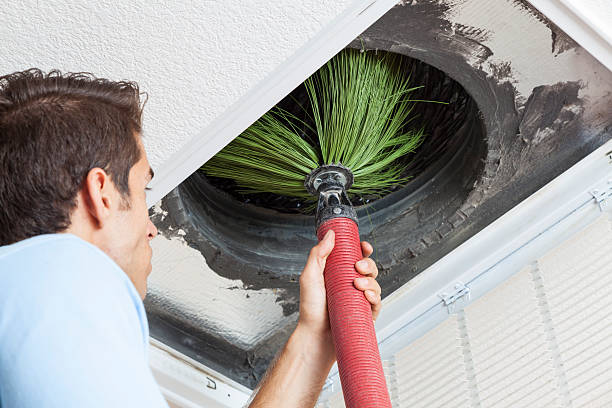 Air Duct Mold Removal in Jeanerette, LA